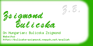 zsigmond bulicska business card